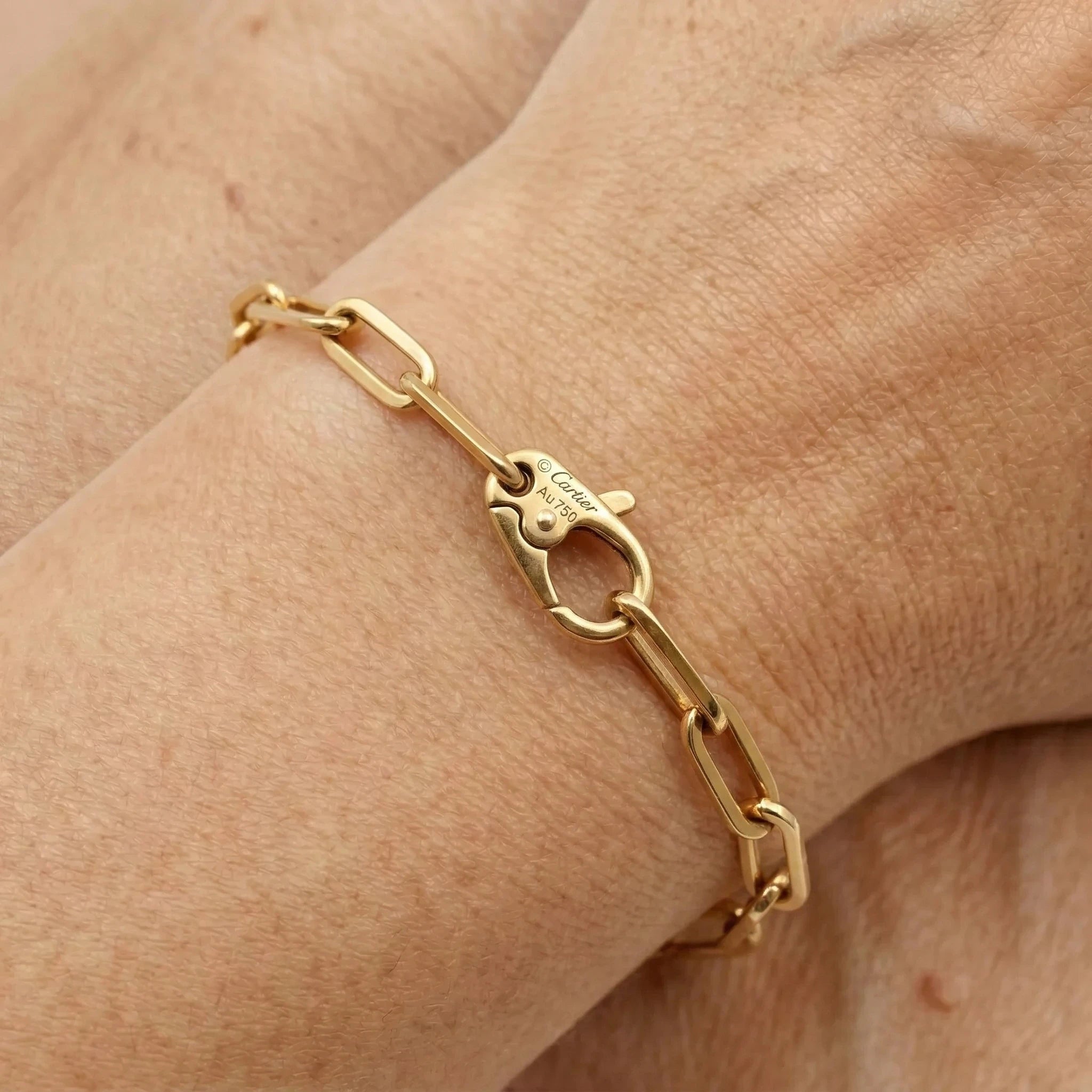 Cartier Bracelet Santos Or jaune